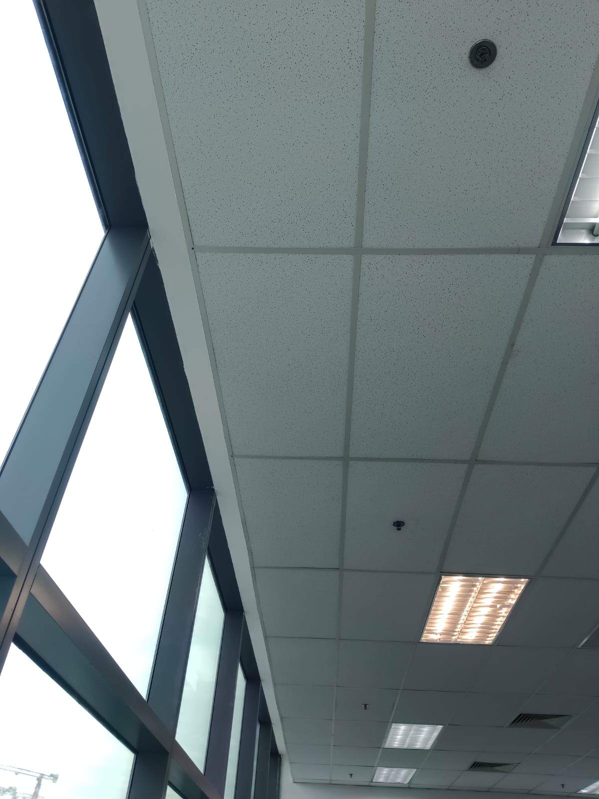 AR Ceiling Partition Singapore — suspended ceiling installation near full window glazing | Ceiling Partition Singapore